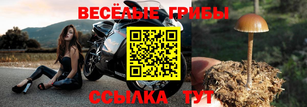 Псилоцибиновые грибы ЛСД  Галлюциногенные грибы мицелий  Химки  хочу   Вход с VPN 