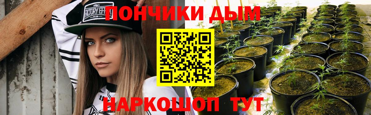 Бошки марихуана план  Каннабис план  Химки  Вход с VPN  Марихуана LSD WEED 